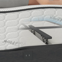 BackFlex 3 adjustable base for transparency showing raised adjustable lumbar back support section